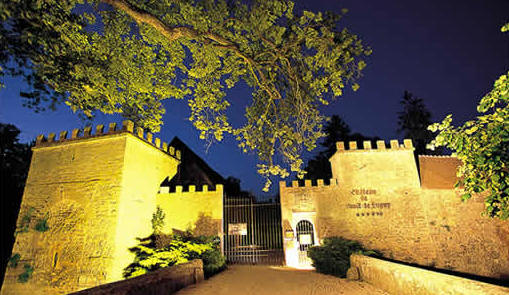 Chateau du Vault de Lugny